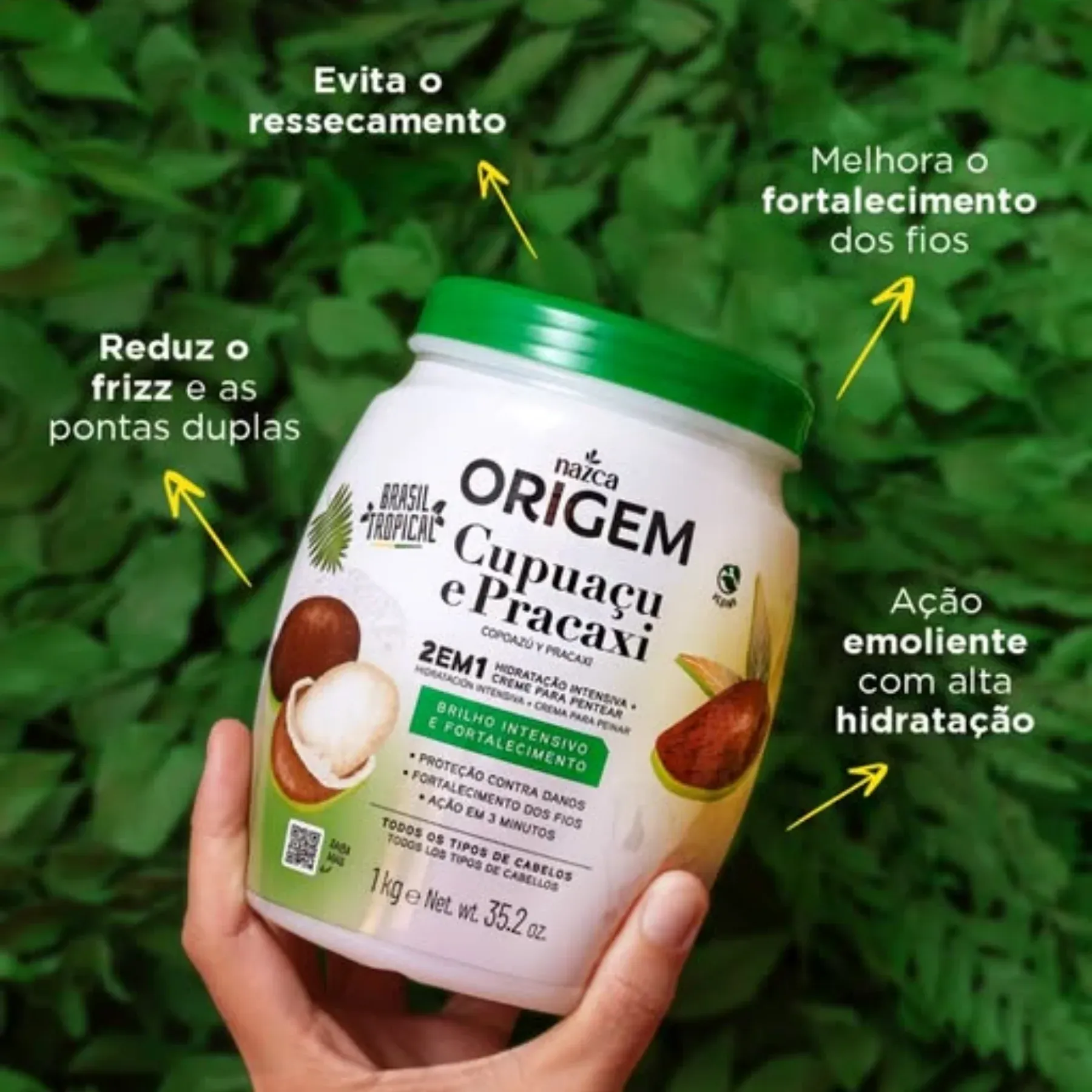 ORIGEM CUPUACU -3-